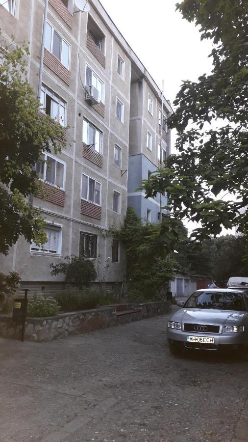 Garsoniera Simo Daire Orşova Dış mekan fotoğraf